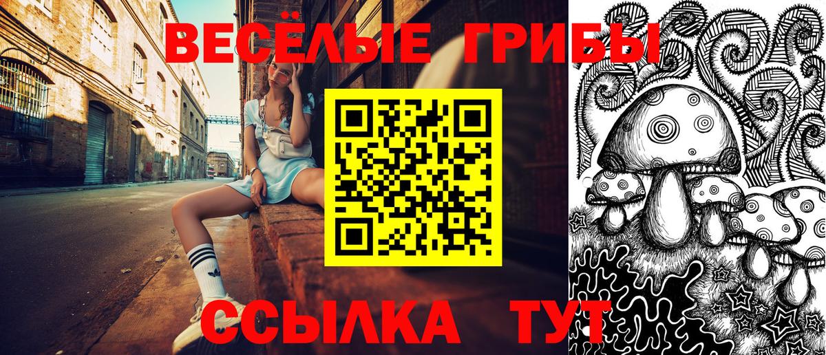 Лиски  Галлюциногенные грибы Cubensis  Вход с VPN  Галлюциногенные грибы Psilocybe 