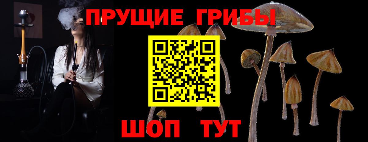 Галлюциногенные грибы мицелий Лиски